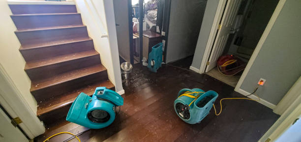  Gray, GA Water damage restoration Pros