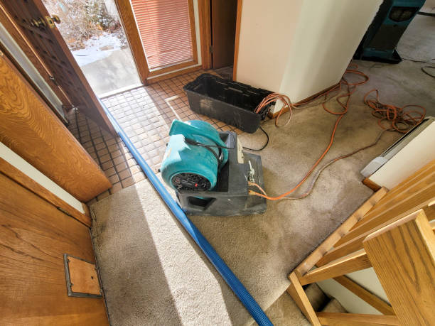 Best Water damage restoration near me  in Gray, GA