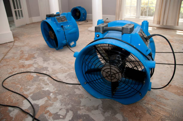 Best Water damage repair service  in Gray, GA