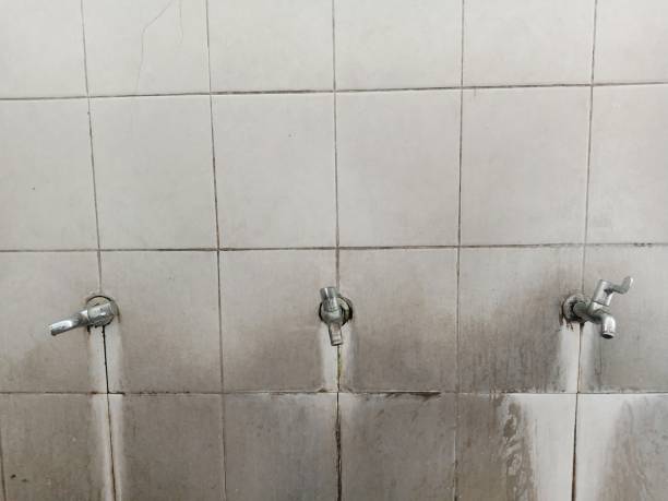 Best Commercial water damage restoration  in Gray, GA