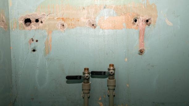 Best Water damage restoration near me  in Gray, GA
