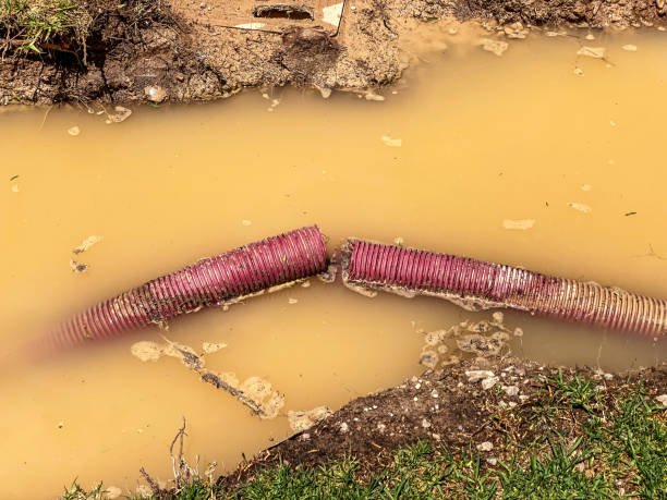  Gray, GA Water damage restoration Pros