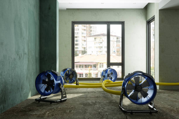 Best Water damage restoration process  in Gray, GA