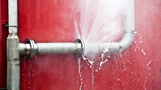 Best Professional water damage repair  in Gray, GA