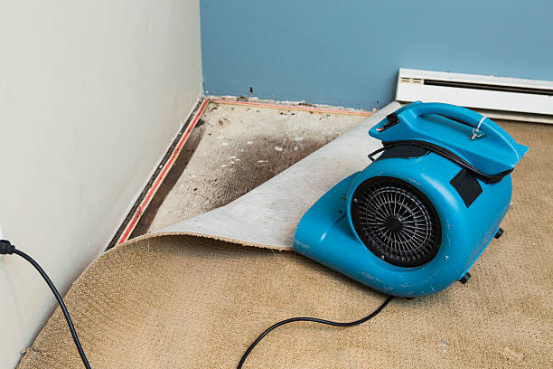 Best Emergency water damage restoration  in Gray, GA